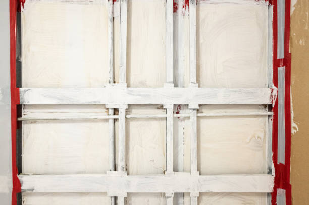 Best Post-Construction Mold Inspection  in Effort, PA