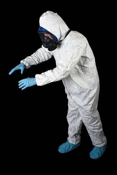 Best Water Damage & Mold Remediation  in Effort, PA