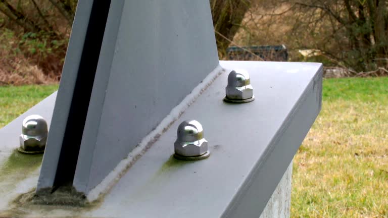  Effort, PA Mold Removal Pros